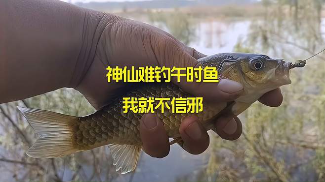 钓鱼手机游戏好玩的_钓鱼手机游戏哪个好玩_手机 钓鱼游戏