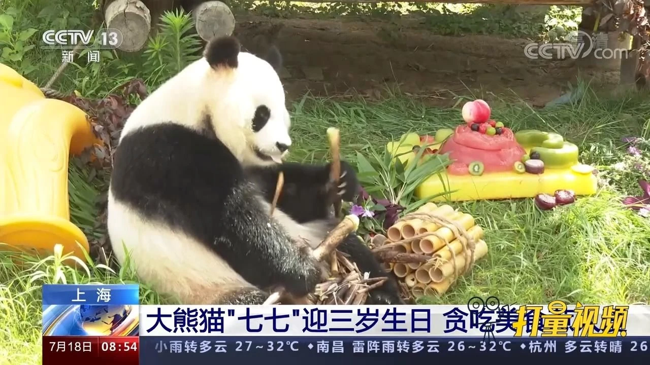 魔兽熊猫世界人物介绍_魔兽世界熊猫人世界boss_魔兽世界熊猫人
