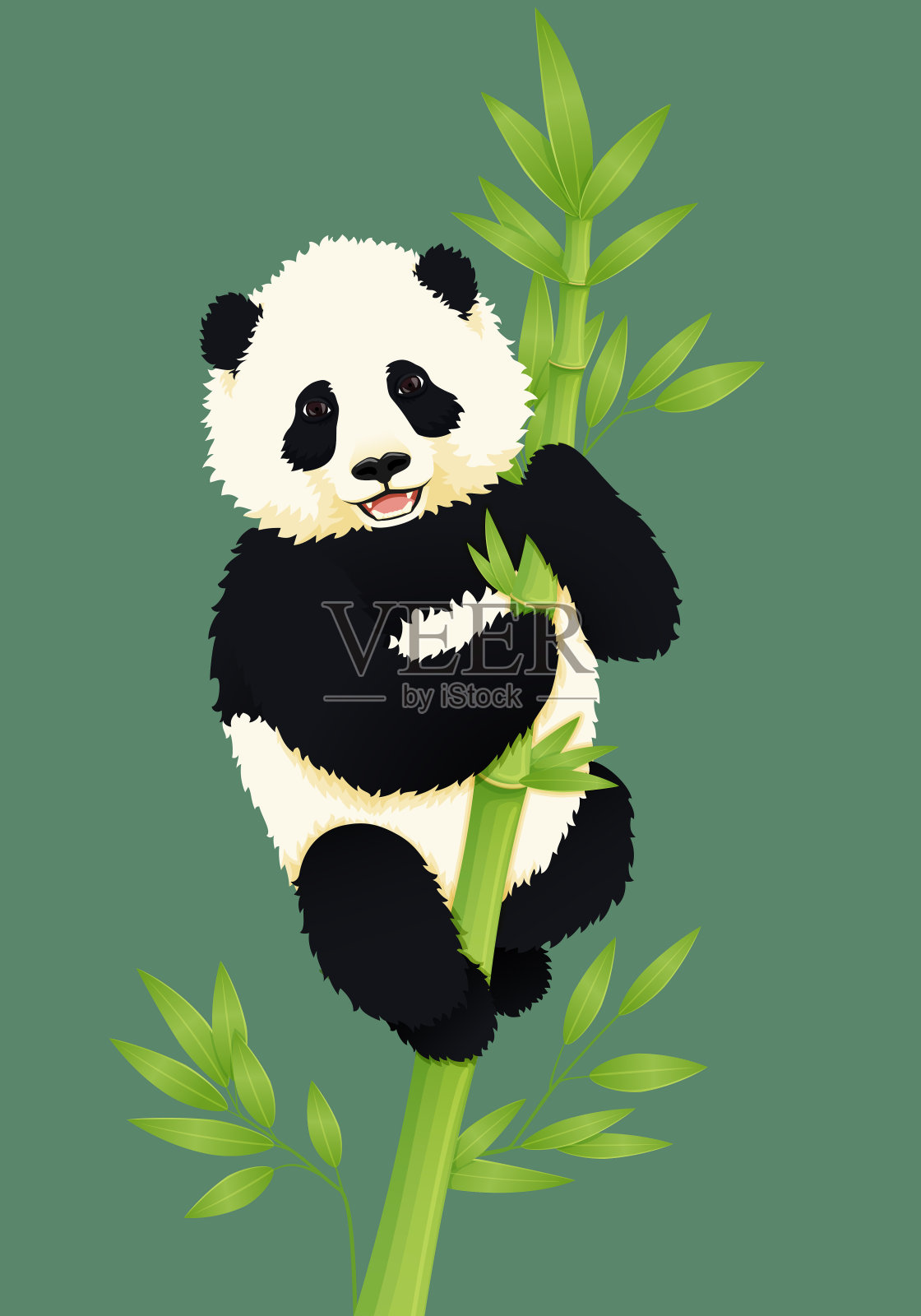 熊猫家族-《熊猫的日常生活》第三届滨海国际（微）电影节参赛影