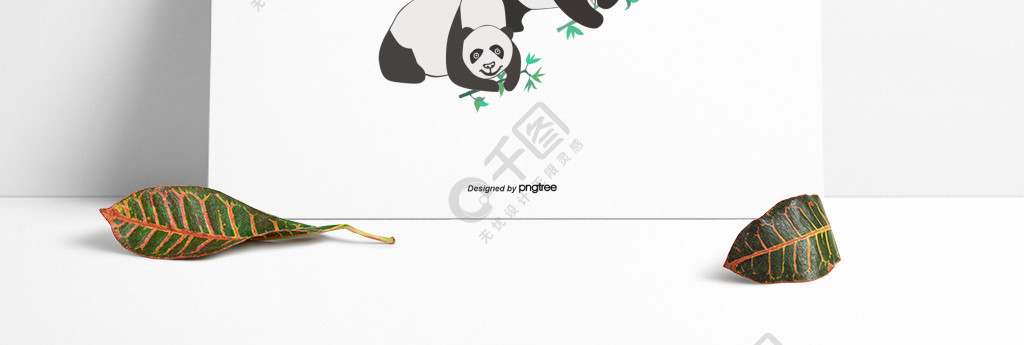 熊猫家族_熊猫家族米米_熊猫家族族谱