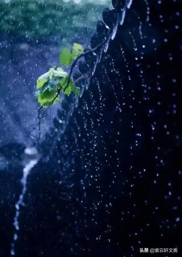 忆雨老师是谁_忆雨_忆雨为什么恨人类