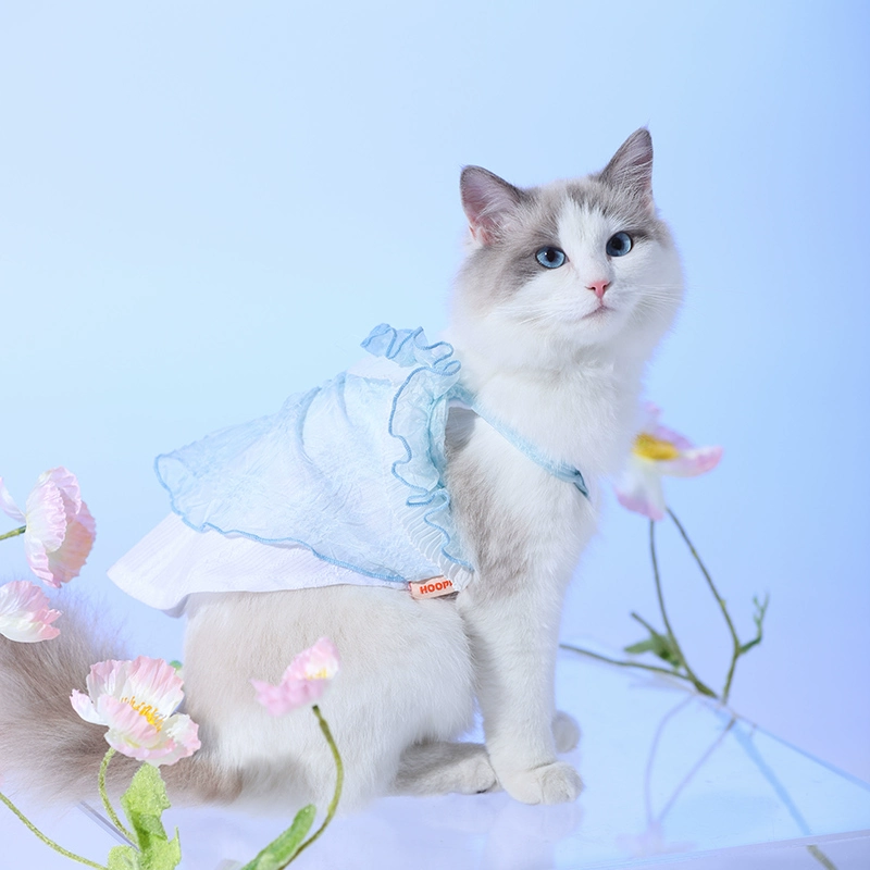 有猫的手机双人游戏有哪些-手机上的猫咪大作战：双人游戏体验
