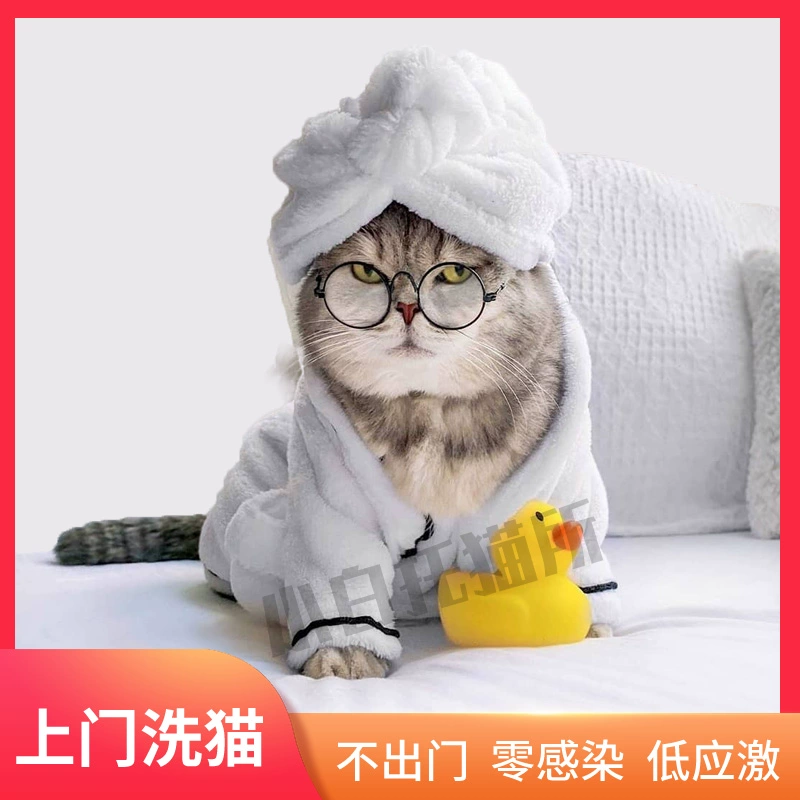 一款两只猫的双人游戏_双人游戏猫_有猫的手机双人游戏有哪些