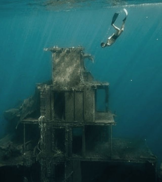 深海探险，与海洋生物共舞：莫妮卡之海2冒险记