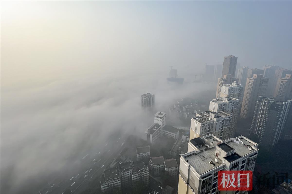 大雾什么意思饭圈_大雾是he吗_大雾是什么梗