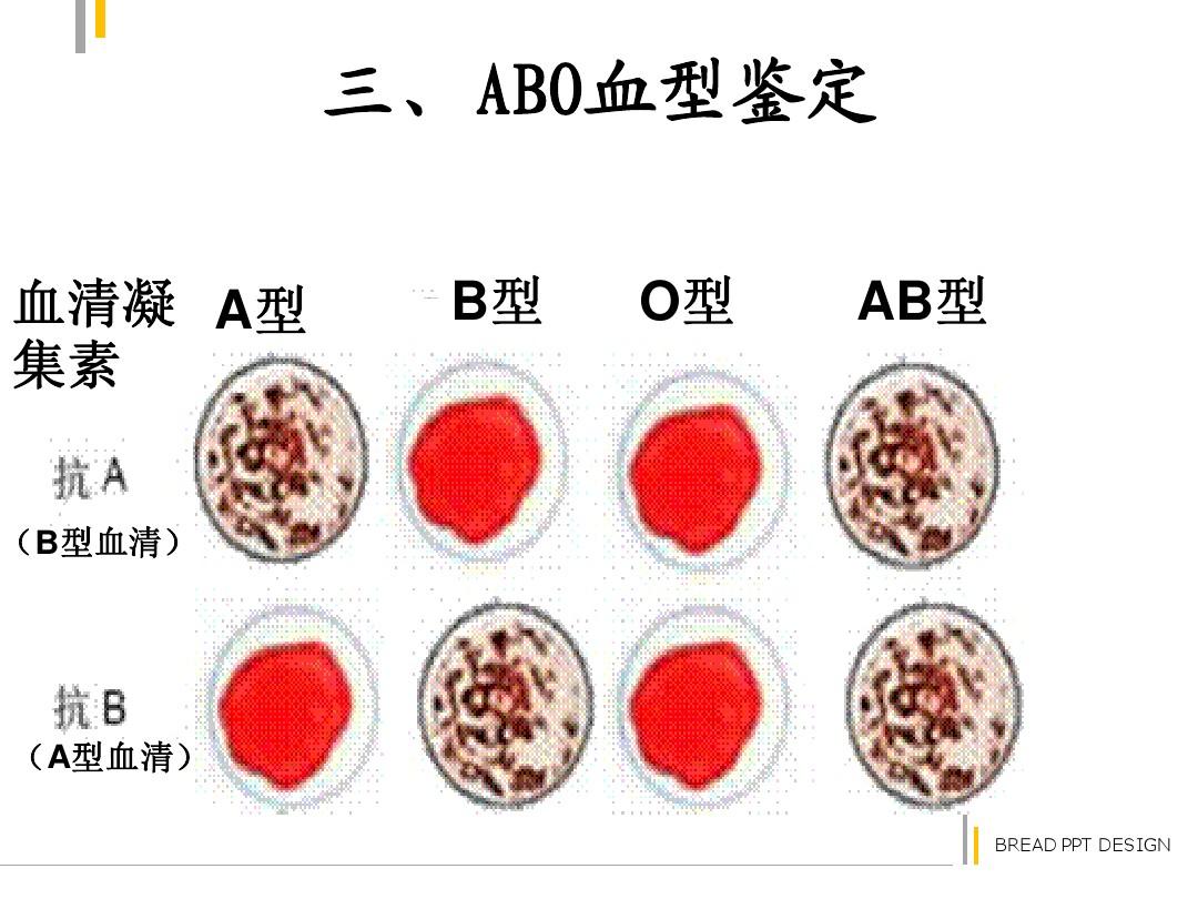 血型君_血型君里o型的配音是谁_血型君3