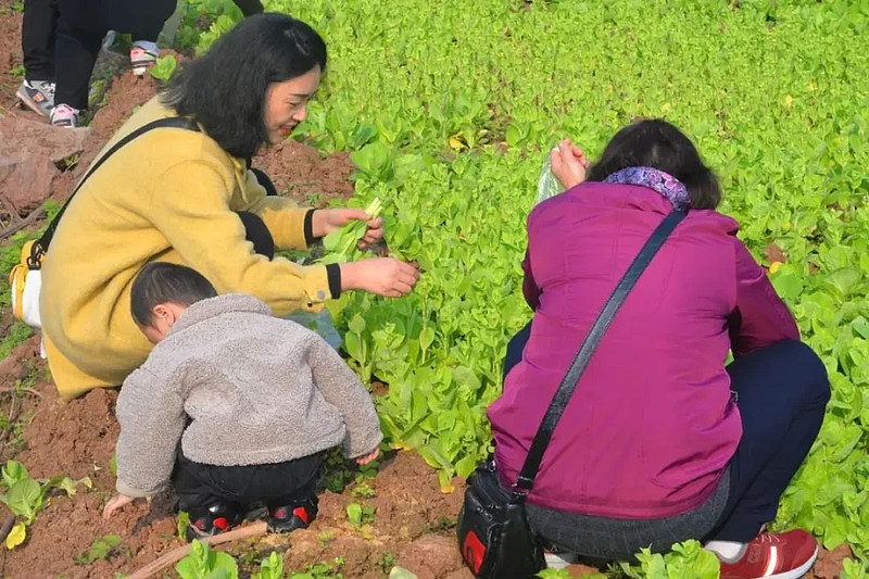 孩子耍手机游戏_让孩子玩的手机游戏_玩手机游戏孩子让玩怎么办