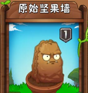 坚果墙_坚果墙头像_坚果墙图片