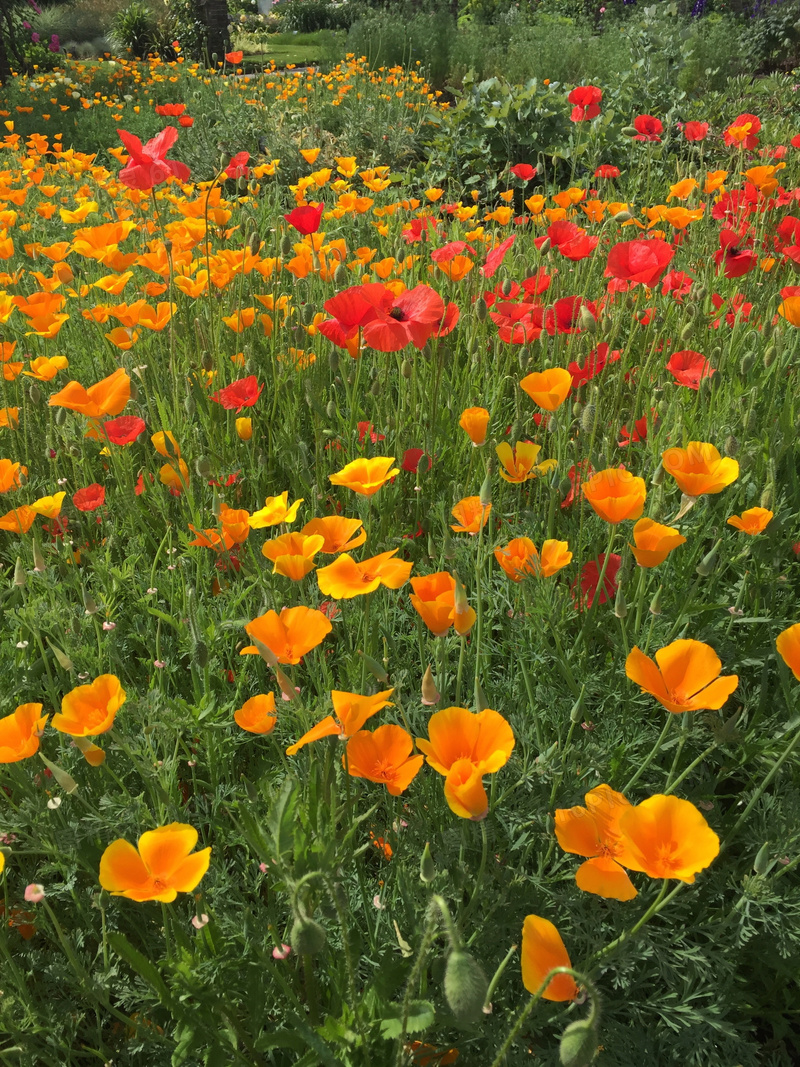 花映冢_花映冢_花映冢