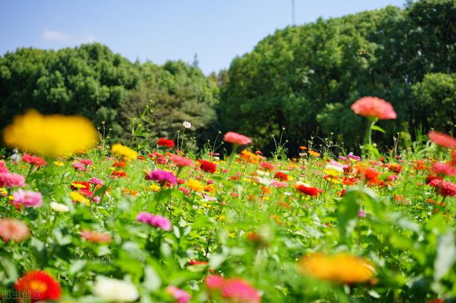 花映冢_花映冢_花映冢