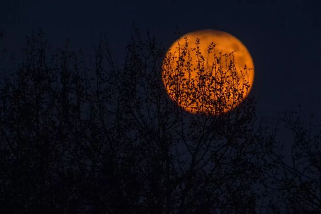 关于中秋节的图片-中秋夜，月亮与你共舞
