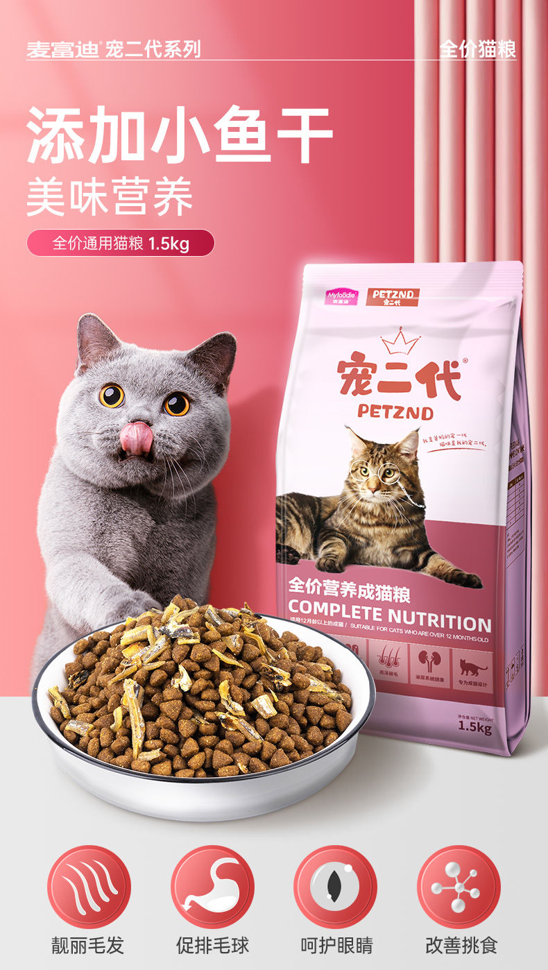 笨猫末日_笨猫多只是什么意思_阿笨猫