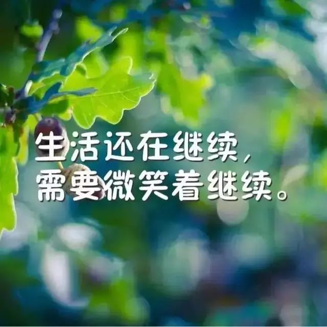 友谊的力量：我和友希的成长故事