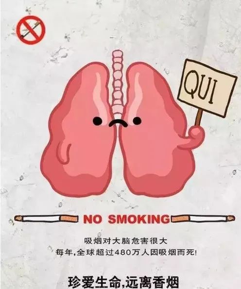 宣传烟的广告_无烟日宣传资料_烟的宣传标语