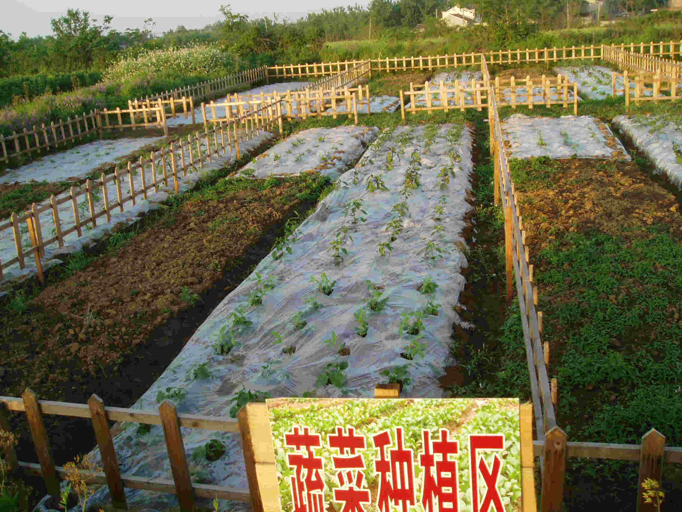 有趣的手机小游戏单机下载-手机农场乐趣大爆发，真实种植体验让