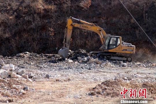 四驱兄弟土方令_土方令是男的还是女的_土方令