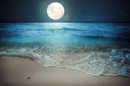 仲夏夜的银梦有什么梗-银色沙滩下的神秘星空：仲夏夜的银梦