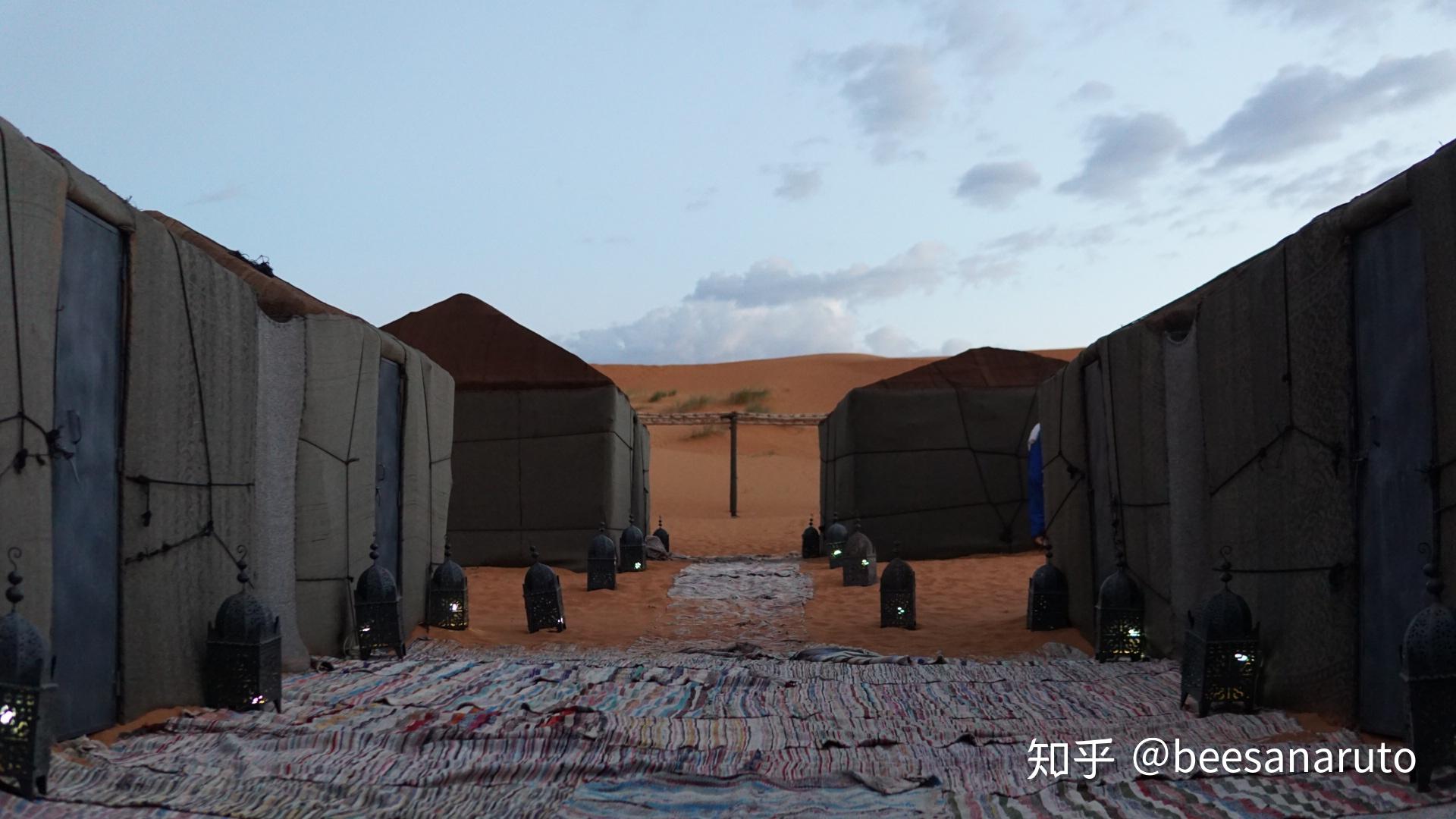 沙漠旅行手机版游戏_沙漠旅行者游戏_沙漠旅途游戏