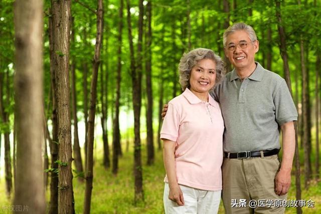 老年人游戏手机_有关老人的手机游戏叫什么_老人玩手机游戏