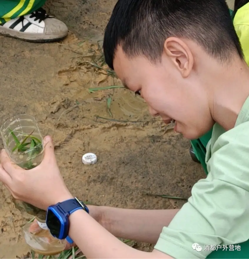 揭秘趣味实验手机游戏视频：科学世界的神奇探索之旅