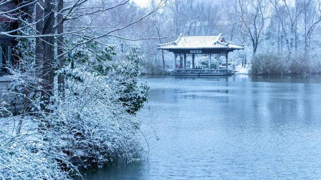 夜道雪_夜道雪_夜道雪