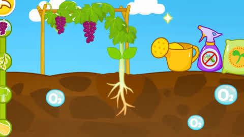 葡萄的手机游戏-种植葡萄，赢取丰收