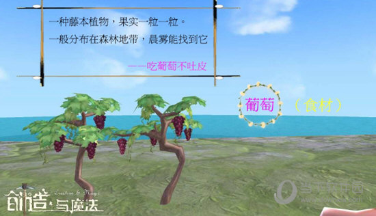 葡萄游戏大厅安卓官方_葡萄的手机游戏_葡萄手游下载