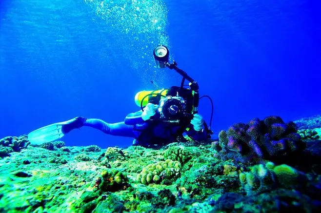 深海迷航游戏免费手机版-探索深海秘境，挑战深海生物