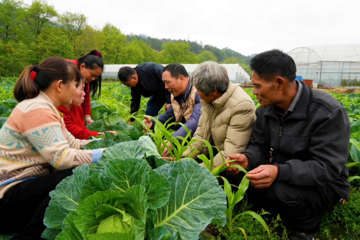 推广农技13年毛明博_农技推广app_推广农技知识