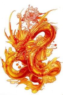 中国南方神秘生物老山龙的传说与力量