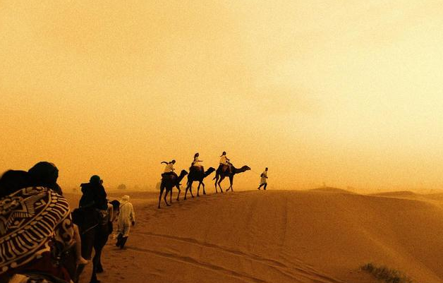 探秘尼弗迦德：沙漠深处的古老传奇城市，历史的神秘之谜