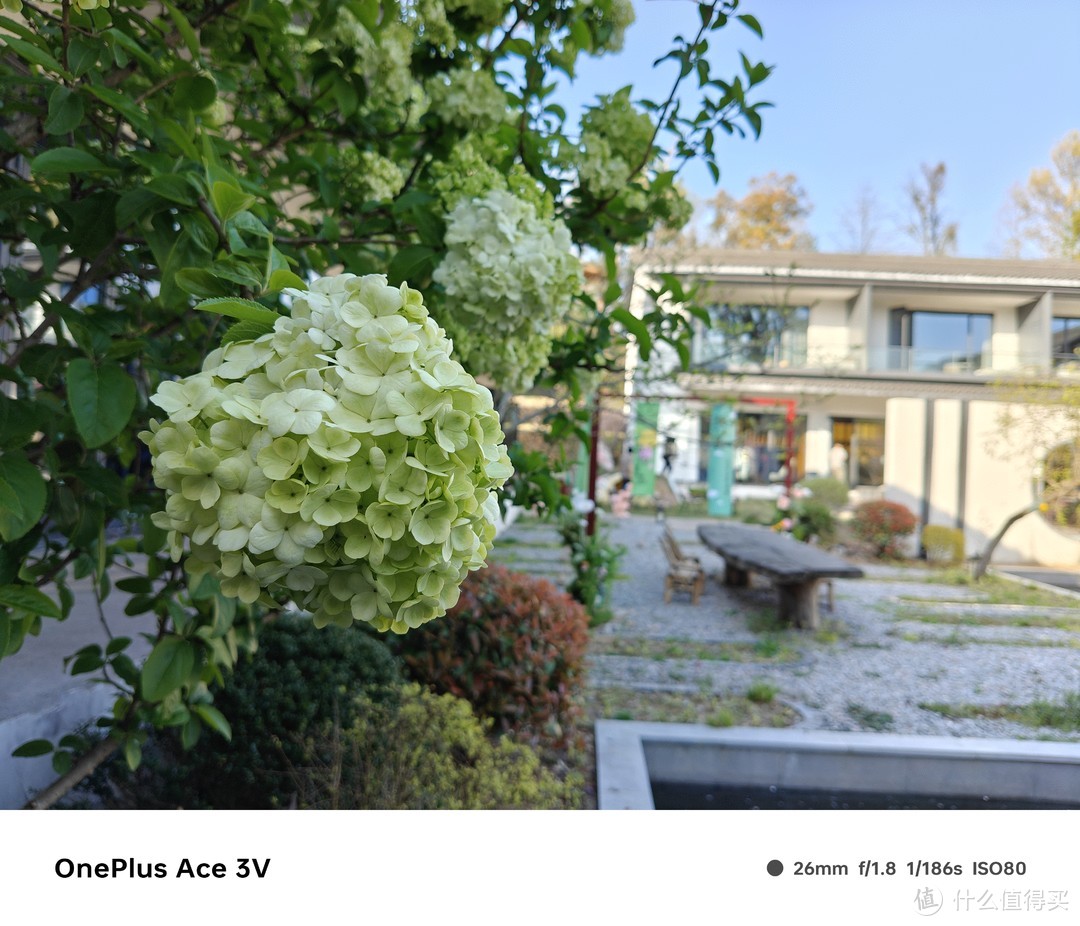 苹果6s手机游戏自动删除_iphone自动删除游戏数据_苹果手机游戏自己删除