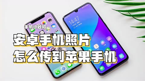 注销苹果手机游戏账号流程_苹果注销游戏账号_苹果手机游戏怎么注销