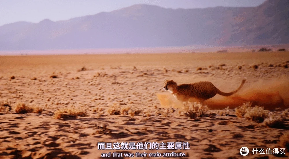 逃生最高画质配置_手机版画质好逃生游戏_地铁逃生画质大师