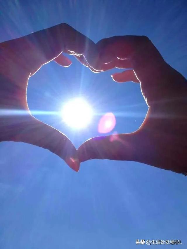 乌龟大师_乌龟大师仙逝图片_乌龟大师仙逝gif