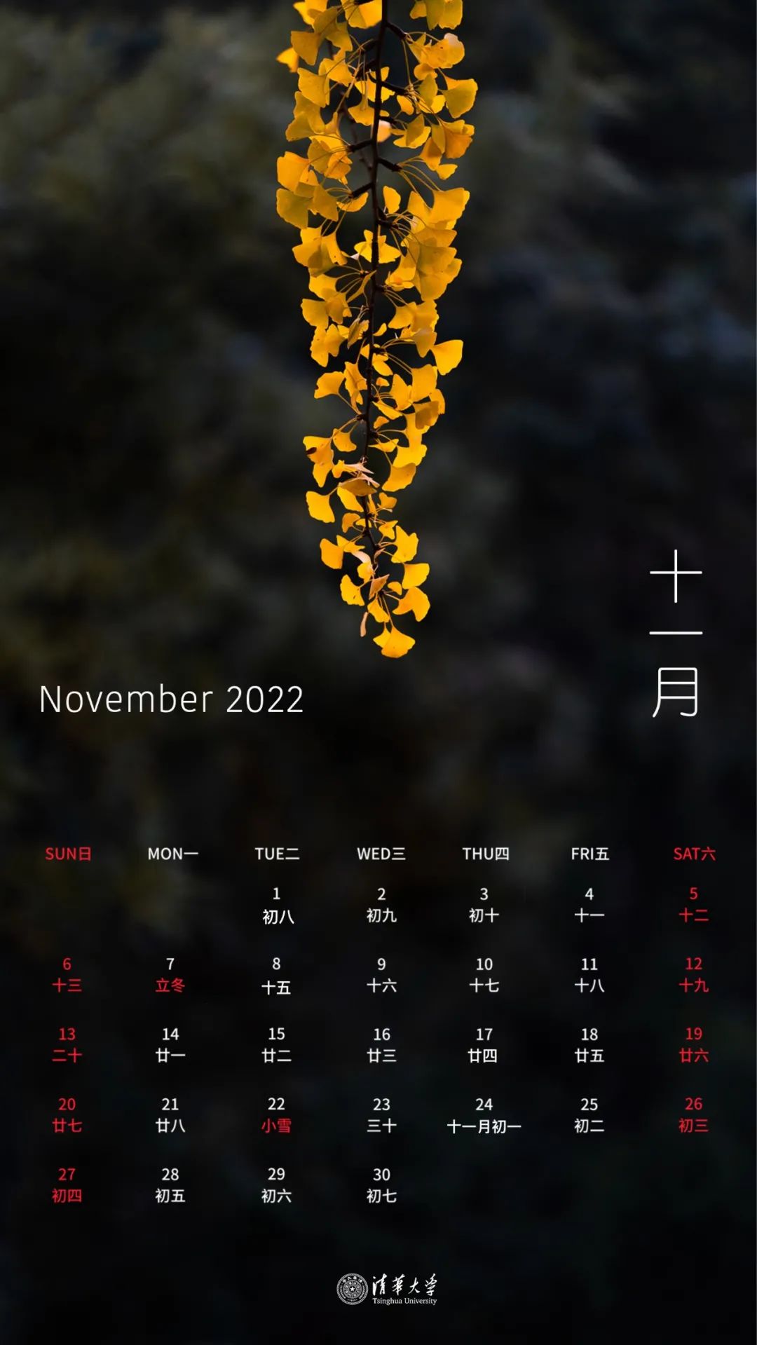日历2022全年_日历全年图片_日历全年2023