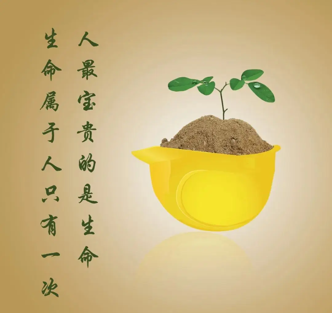 造物法则_造物法则sr_造物法则lr