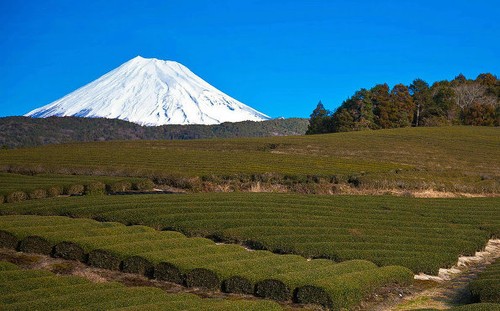 富士山高多少米_富士山_富士山在日本哪里