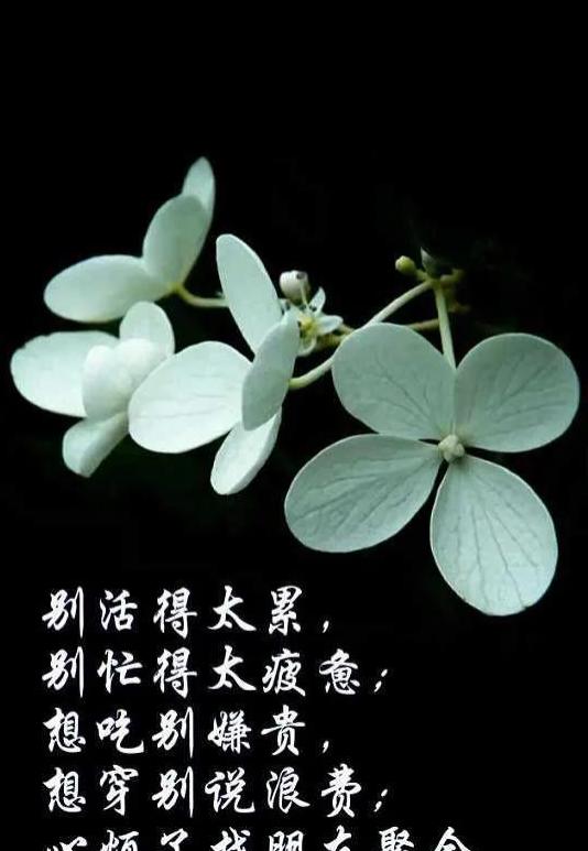 感叹人生的游戏名字_人生感悟的手机游戏名字_感悟人生的游戏名字