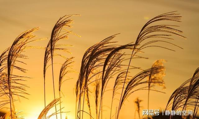 多余的人头像_“多余人”_怎么p掉多余的人