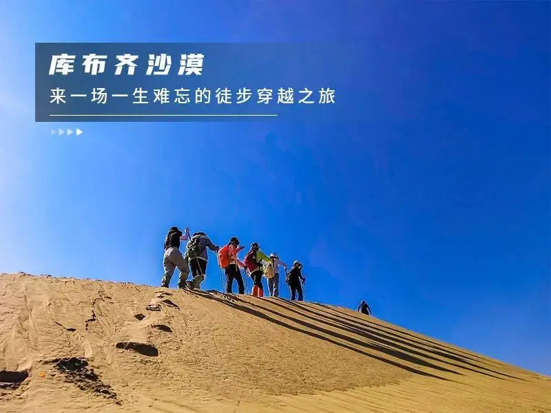 沙漠旅途手机版游戏_旅途沙漠版手机游戏大全_旅途沙漠版手机游戏怎么玩