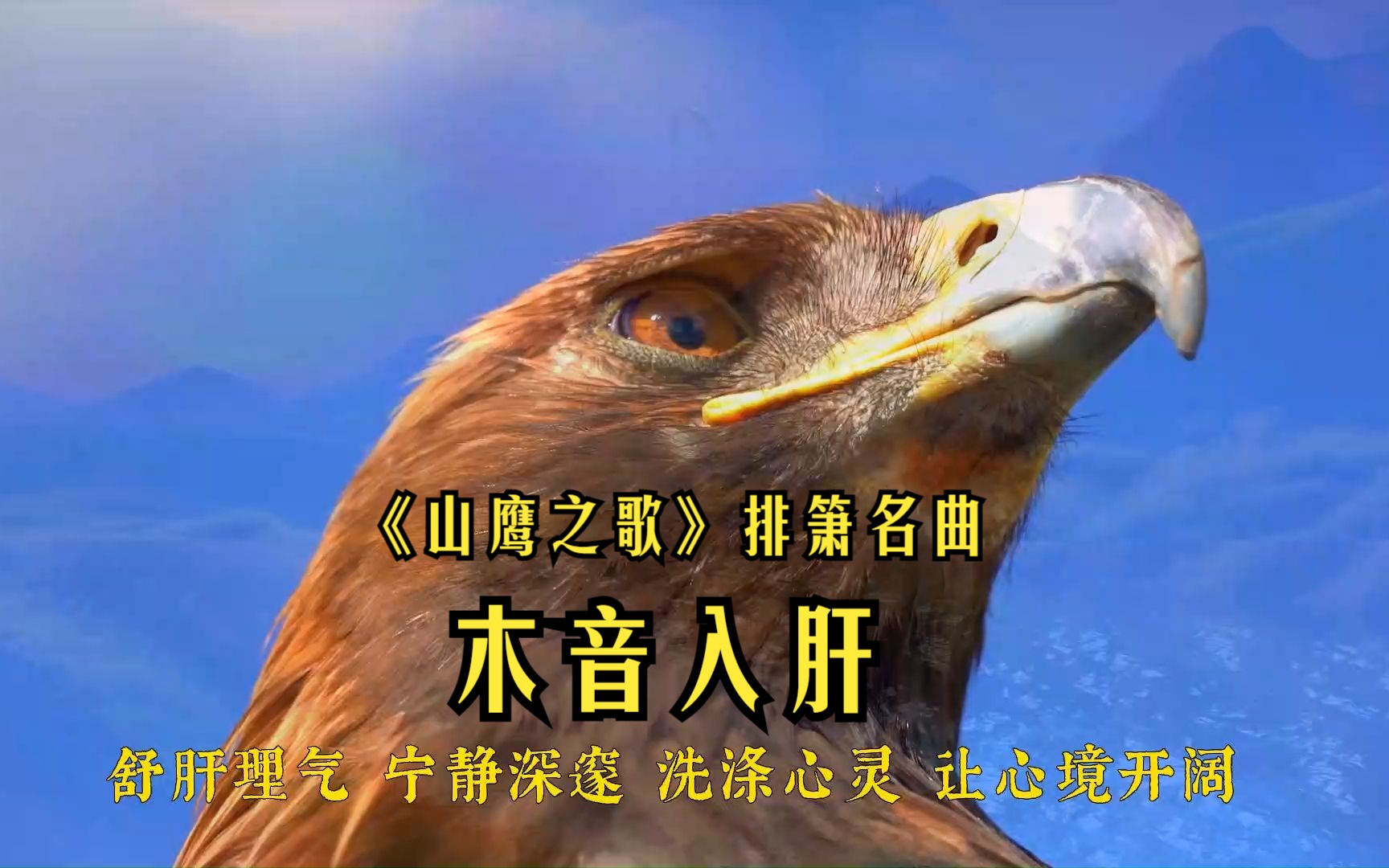海马手游游戏助手_手海马手机游戏_海马玩手机版