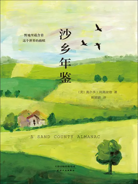 无限泡影_无限泡影可以无效手坑吗_无限泡影对遗言有用吗