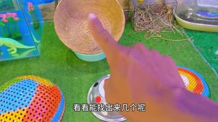 清道夫下载_安卓清道夫国内版_清道夫手机游戏在哪下载