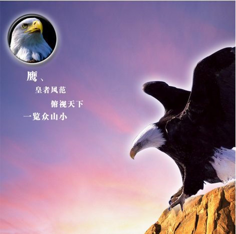成为苍崎橙子的人生-苍崎橙子：传承家族魔法，在风雨中成长的不