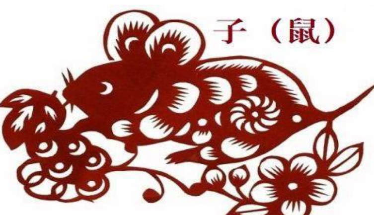 1984年属鼠是什么命-属鼠人的成长故事：聪明灵活背后的坚持