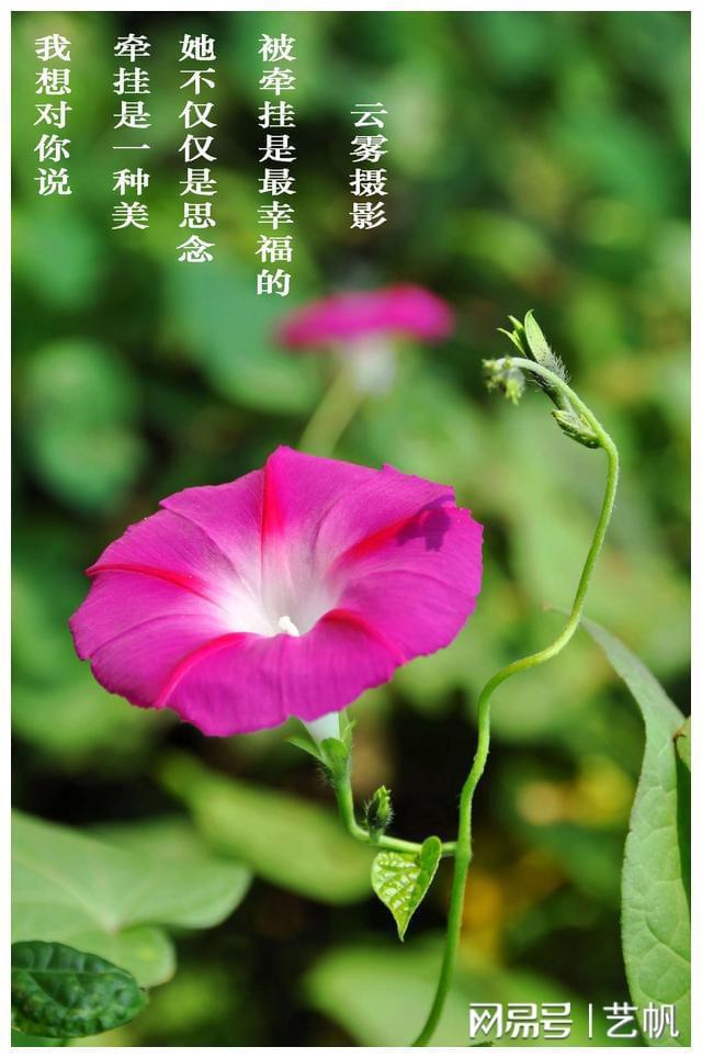 跳舞情侣手机游戏推荐_情侣跳舞手机游戏_美到腻的伴侣跳舞游戏