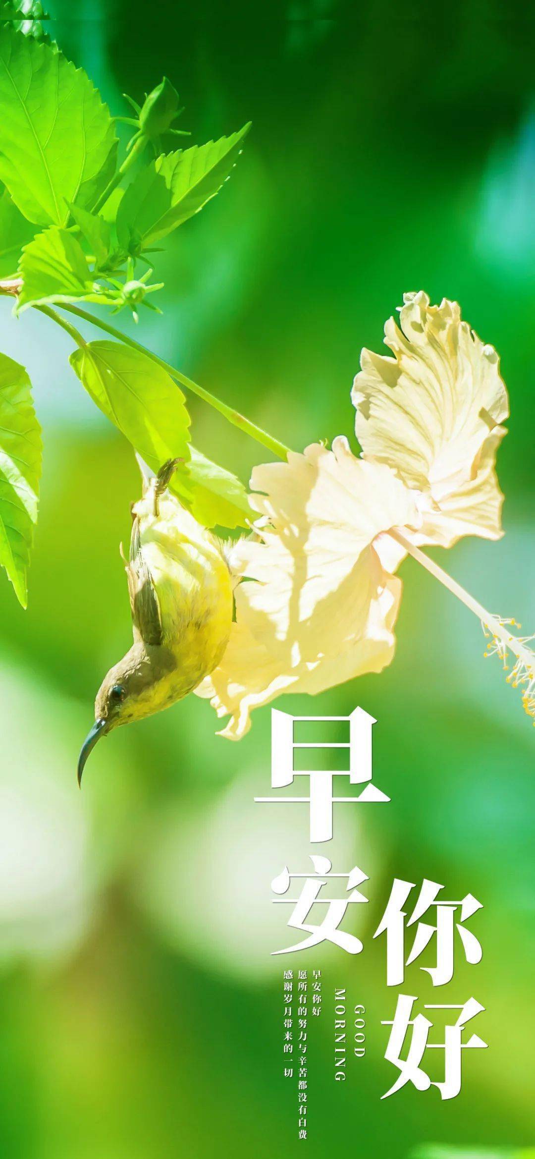 月经一直不干净是什么原因_月嫂_8月28