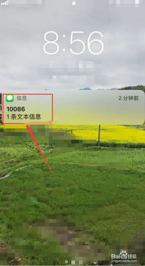 手机接不到短信息怎么回事-手机信号满格却收不到短信？这到底是