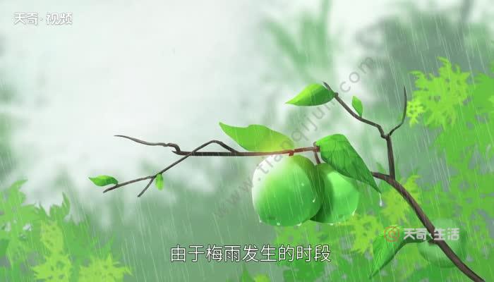3月份是梅雨季节吗-三月的雨，是梅花的泪？梅雨季节的情感与情